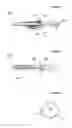 Fig. 35 - Method and instrument for treating obesity
