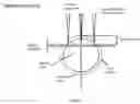 Fig. 04 - Method and apparatus for motility contrast imaging