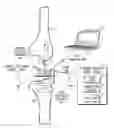 Fig. 01 - DEVICE AND METHOD FOR ADVANCED LOW-POWER MANAGEMENT OF A SENSOR TO MEASURE A PARAMETER OF THE MUSCULAR-SKELETAL SYSTEM