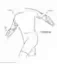 Fig. 46 - Body support for spanning a hinge joint of the body comprising an elastically stretchable framework