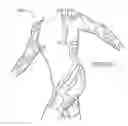 Fig. 49 - Body support for spanning a hinge joint of the body comprising an elastically stretchable framework