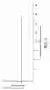 Fig. 04 - Corrosion resistant electrodes for iontophoretic transdermal delivery devices and methods of use