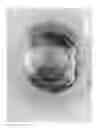 Fig. 44 - Integrated devices having extruded electrode structures and methods of using same