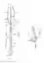 Fig. 03 - Intracorporeal grasping device