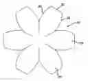 Fig. 01 - Device and method for repair of urological structures