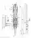 Fig. 02 - Transducer arrangements for ultrasonic surgical instruments