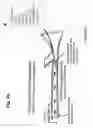 Fig. 07 - Catheter device for the dynamic regulation of the venous return to the heart for the treatment of patients with heart failure