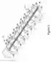 Fig. 08 - Spinal correction tensioning system