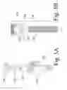 Fig. 04 - Devices and methods for dynamic fixation of skeletal structure