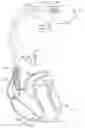 Fig. 01 - Subcardiac threshold vagal nerve stimulation