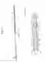 Fig. 02 - Rolling membrane stent delivery system
