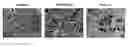 Fig. 01 - Method of Making Suture-Less Hollow Scaffolds