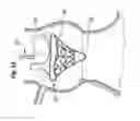 Fig. 04 - Unitary quick connect prosthetic heart valve and deployment system and methods