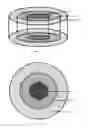 Fig. 02 - Biphasic implant device transmitting mechanical stimulus