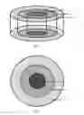 Fig. 02 - Electrokinetic device for tissue repair