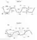 Fig. 06 - Device for treating obesity