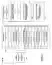Fig. 27 - Method and mechanism for protection, sharing, storage, accessing, authentication, certification, attachment and tracking anything in an electronic network