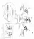 Fig. 02 - OPTIMIZATION OF APPLICATION DELIVERY IN A VIRTUAL UNIVERSE