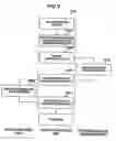 Fig. 08 - Automated on-line capacity expansion method for storage device