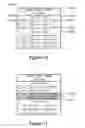 Fig. 09 - METHOD AND SYSTEM FOR RENDERING DATA RECORDS
