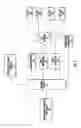 Fig. 02 - DELIVERY OF PRE-STATISTICALLY MULTIPLEXED STREAMS IN A VOD SYSTEM