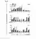 Fig. 07 - METHOD FOR PROTECTING PLANTS FROM STRESS AND SENESCENCE