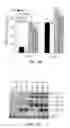 Fig. 09 - Methods using acyl-CoA binding proteins to enhance low-temperature tolerance in genetically modified plants
