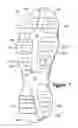 Fig. 07 - Footwear with Separable Upper and Sole Structure