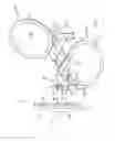 Fig. 02 - Vision system