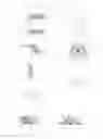 Fig. 05 - ARTICULATION MEANS