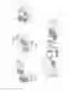Fig. 06 - ARTICULATION MEANS