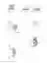 Fig. 07 - ARTICULATION MEANS