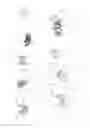 Fig. 10 - ARTICULATION MEANS