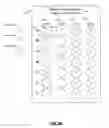 Fig. 06 - SYSTEM AND METHOD FOR GENERATING A SCHEDULE FOR ADMINISTERING DOSES OF MEDICATION TO A PATIENT