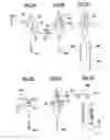 Fig. 03 - METHOD FOR DEHYDRATING AND SINTERING POROUS BASE MATERIAL FOR OPTICAL FIBER