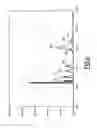 Fig. 04 - Method of analyzing a number of hydrocarbons contained in a drilling fluid, and associated device
