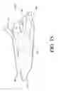 Fig. 16 - Single disc liquid fertilizer opener