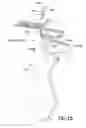 Fig. 20 - Machine and method for sewing, embroidering, quilting and/or the like