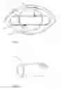 Fig. 07 - Fluid flow in a control arrangement for a rotary piston engine