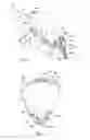Fig. 02 - FOAM RESPIRATORY MASK