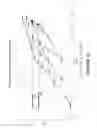 Fig. 19 - Washing machines