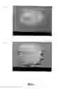 Fig. 03 - Drilling fluid and method for reducing lost circulation