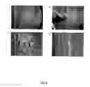 Fig. 04 - Drilling fluid and method for reducing lost circulation