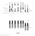 Fig. 06 - Deployment of a wireline tool