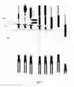Fig. 07 - Deployment of a wireline tool