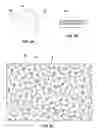 Fig. 03 - Hardfacing materials including PCD particles, welding rods and earth-boring tools including such materials, and methods of forming and using same