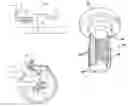 Fig. 01 - Bolt for hydraulic disc brake caliper