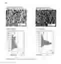 Fig. 02 - PROCESS FOR PRODUCING ELECTRET FINE PARTICLES