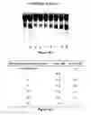 Fig. 16 - Analysis and assay of glycated haemoglobins by capillary electrophoresis, buffer compositions and kits for capillary electrophoresis