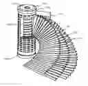 Fig. 01 - Crystalline polymer microporous membrane, method for producing the same, and filtration filter